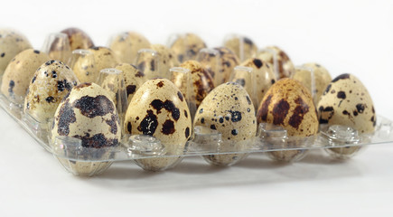 Quail eggs in a transparent plastic container on a white