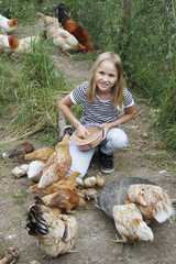 enfant qui nourrit ses coqs, poules et poussins au grain dans leur poulailler.