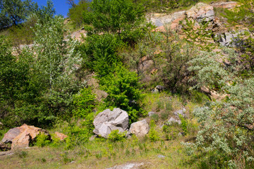 Fototapeta na wymiar Summer landscape with rocks and trees