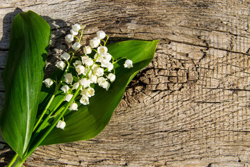 Lily of the valley flowers on wooden background with copy space. Top view