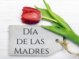Mother's day card with Spanish words: Happy Mother's day, and  red tulip on white wooden background