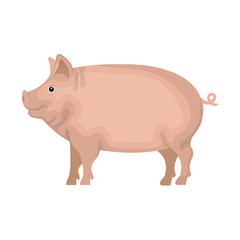 pig animal farm isolated icon vector illustration design