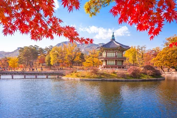 Fototapete Seoel Gyeongbokgung-Palast mit Ahornblättern, Seoul, Südkorea.