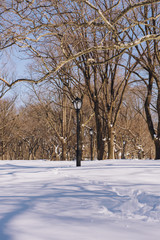 Fototapeta premium The day after the biggest snow storm in New York