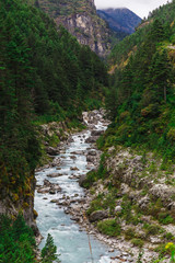Fototapeta na wymiar Pure mountain river