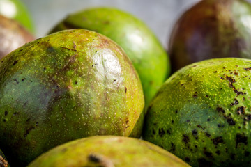green avocado skin photo taken in bogor jakarta indonesia