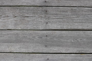 Obraz premium Hintergrund Holz grau