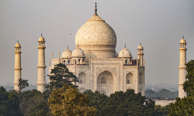 Tadź Mahal, Agra, Indie - obrazy, fototapety, plakaty