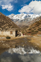 W drodze na przełęcz Thorong, Himalaje , Nepal
