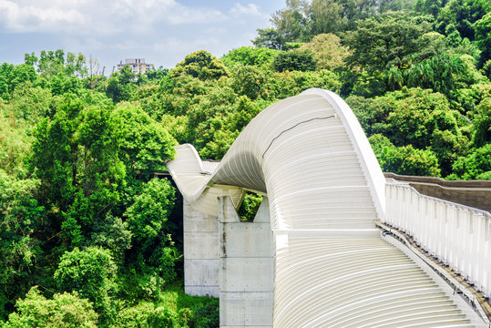Scenic view of amazing bridge imitating a wave, Singapore