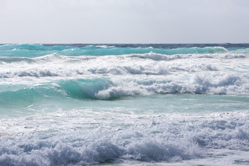 Fototapeta na wymiar Surfer's paradise. Huge waves on the Caribbean sea shore. Dangerous tide.
