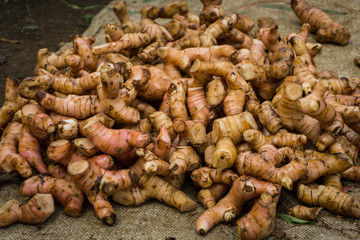 Pile of galangal as one of traditional tropical spices photo taken in Bogor traditional market