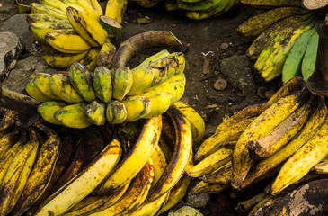 ripe plantains banana with yellow colour on sale in Bogor traditional market photo taken in Bogor Indonesia