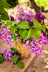 Fototapeta premium Still life with lilac