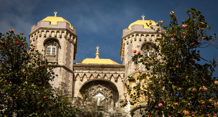 Castle Sintra Portugal
