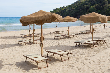 Parasols on a beach in the afternoon