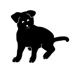 Black silhouette of puppy