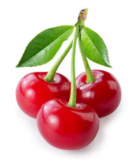 Cherry with leaves isolated on white background.