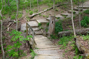 the wooden bridge on the trail in the woods.