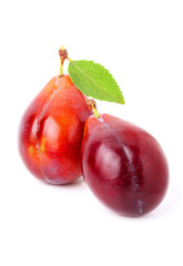 Two ripe red plums isolated.