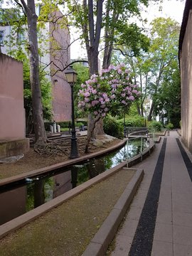 Nature urbaine