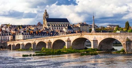 Foto auf Glas Landmarks of France - Historical Blois town, famous Loire valley © Freesurf