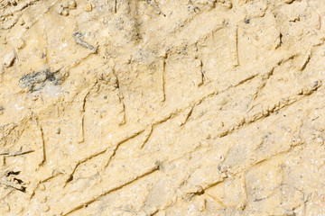 Footprint of a tire of a car on a muddy road.