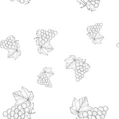 Grapes. Outline sketch as seamless pattern