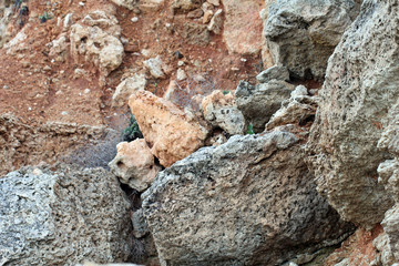 Stone surface