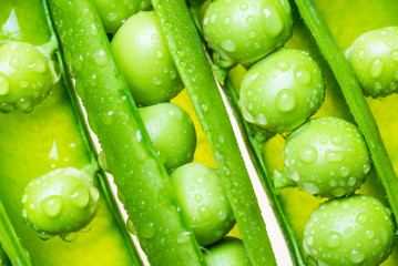 Peas pods macro.Green vegetable food background.