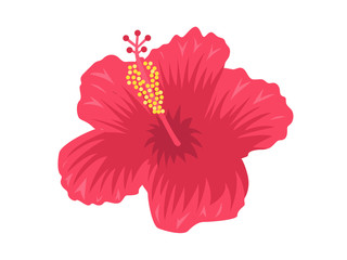 ハイビスカス © R-DESIGN
