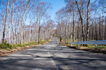 Nature Cloud Sky Cold Blue Winter White landscape Mountain Mountain path close-up Japan