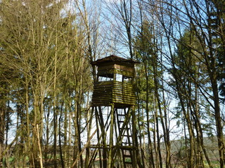 Hochsitz eines Jägers im Wald, Hessen, Deutschland