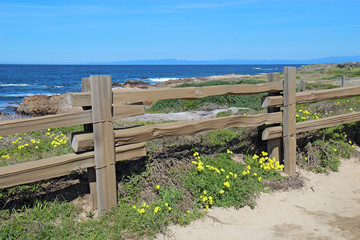 Split-rail fence at Asilomar State beach in Pacific Grove, California