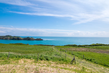 Fototapeta na wymiar Springtime in Cancale town and surroundings, Pointe du Grouin, France, Brittany, Europe