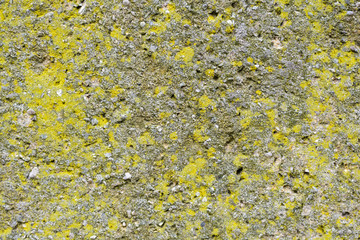 A background of the texture natural rock