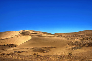 Fototapeta na wymiar Goldfarbene Düne in der Wüste Namibias