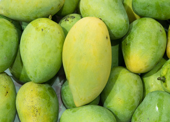 Fresh tropical mangoes on shelf at local market in Thailand