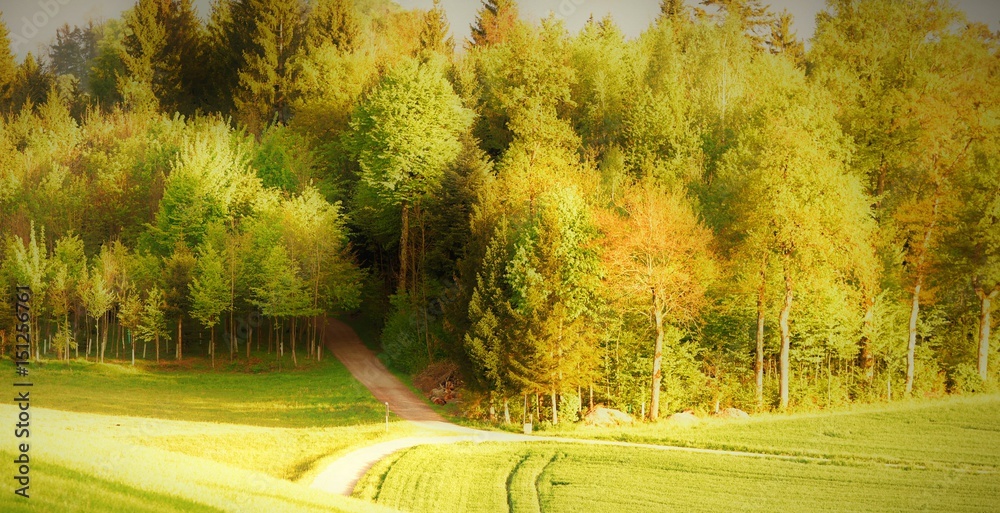 1000_F_151256761_XDtL6kNrbuks8TSgtMiCgoGEukBjCOea.jpg