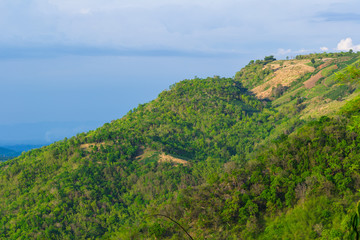 Fototapeta na wymiar green trees on hill of thailand