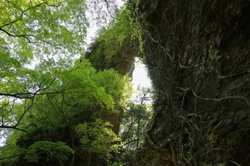 香川県小豆島町　寒霞渓　石門（裏８景　第３景）