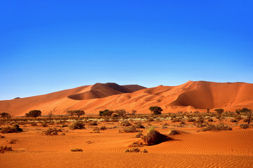 Fototapeta na wymiar Die roten Dünen von Sossusvlei in Namibia