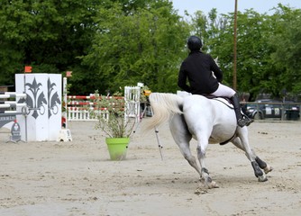 concours hippique, saut d'obstacles