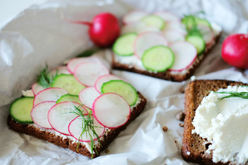 Healthy vegetarian sandwiches with radish and cucumber slice