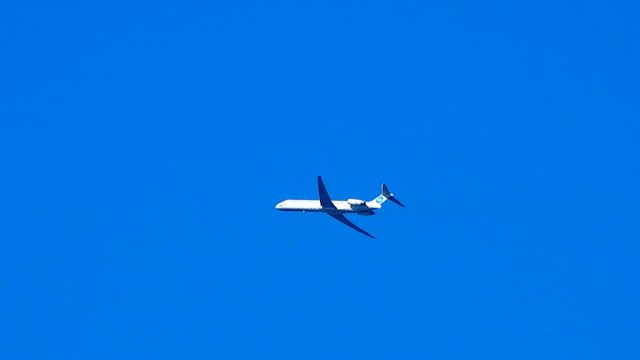 plane flies in the sky