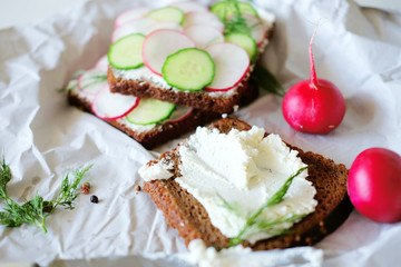 Healthy vegetarian sandwiches with radish and cucumber slice