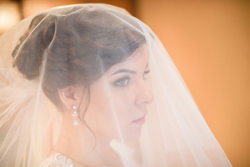 Beautiful bride with fashion wedding hairstyle.Closeup portrait of young gorgeous bride. Wedding....