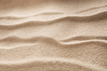 Plakat Beach sand background. Natural seashore texture surface