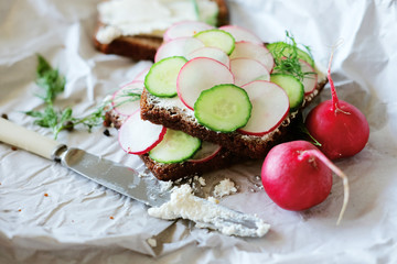 Healthy vegetarian sandwiches with radish and cucumber slice