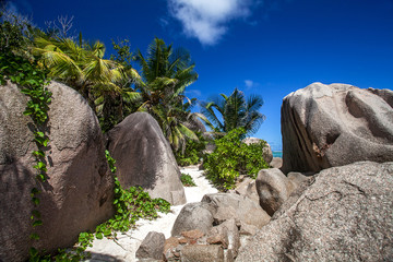 Spiaggia di Anse Source d'Argent, La Digue, Seychelles